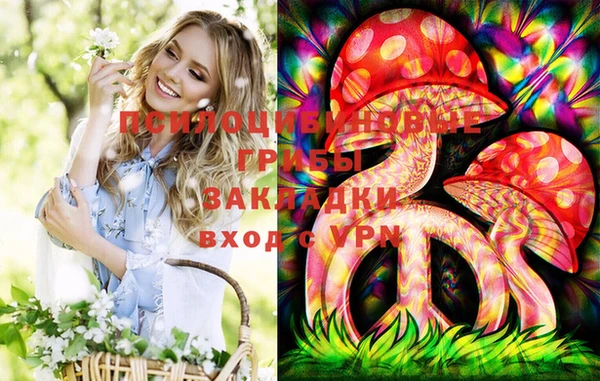 МДМА Новозыбков