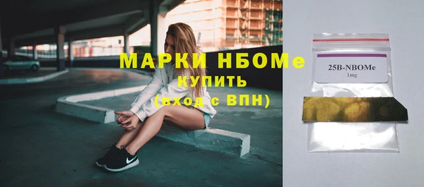 индика Нязепетровск