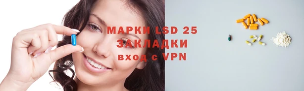 стафф Новокубанск