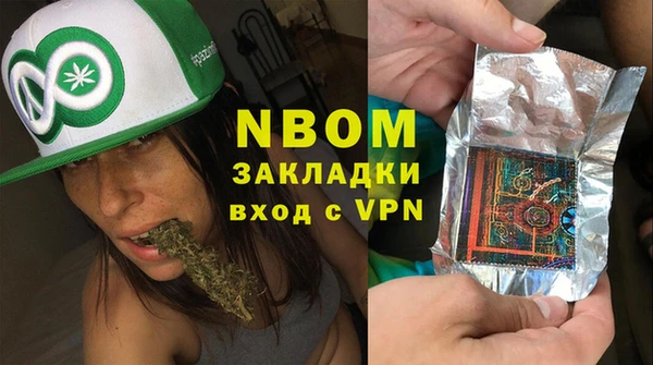 стафф Новокубанск