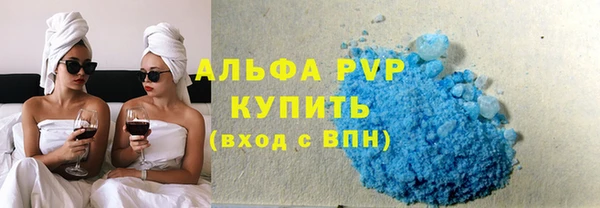 индика Нязепетровск