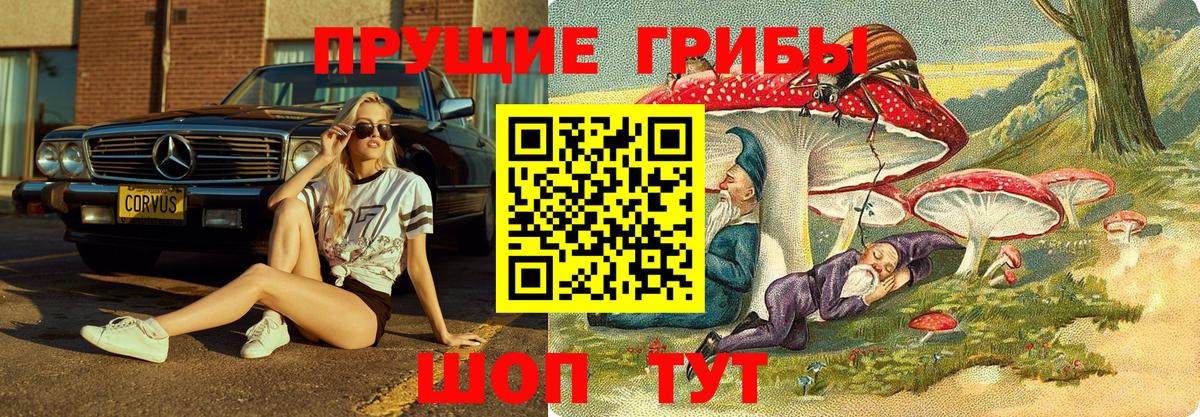 Псилоцибиновые грибы прущие грибы Мурино