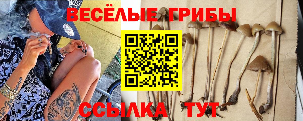 Псилоцибиновые грибы ЛСД  Вход с VPN  Мурино  Псилоцибиновые грибы Psilocybine cubensis 